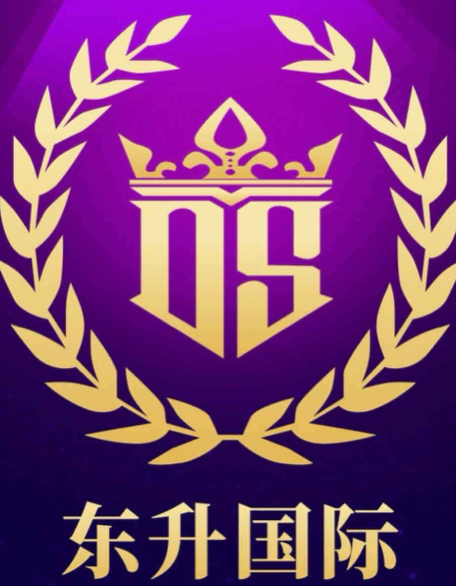 东升国际